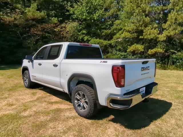 2024 GMC Sierra 1500 Vehicle Photo in ALBERTVILLE, AL 35950-0246