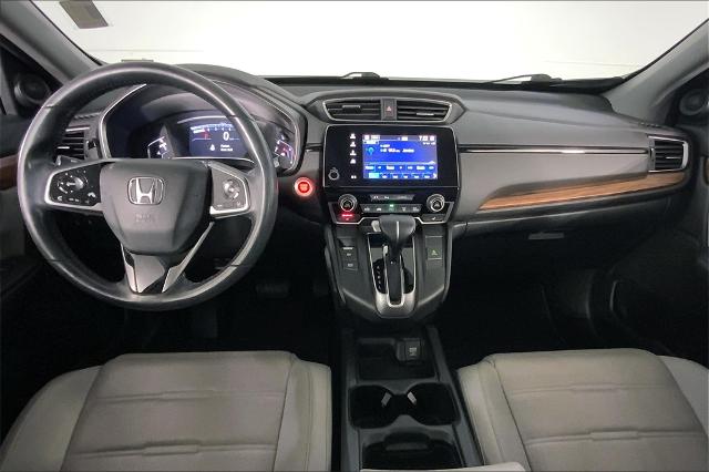 2019 Honda CR-V Vehicle Photo in Lees Summit, MO 64086