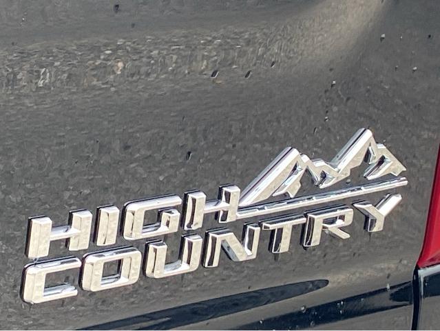 2025 Chevrolet Silverado 1500 Vehicle Photo in SAVANNAH, GA 31406-4513
