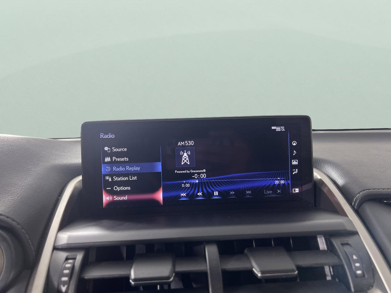 2019 Lexus NX 300 Vehicle Photo in Georgetown, TX 78626