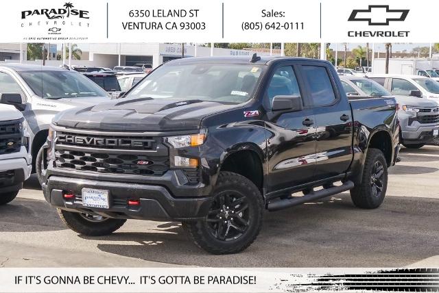 2025 Chevrolet Silverado 1500 Vehicle Photo in VENTURA, CA 93003-8585