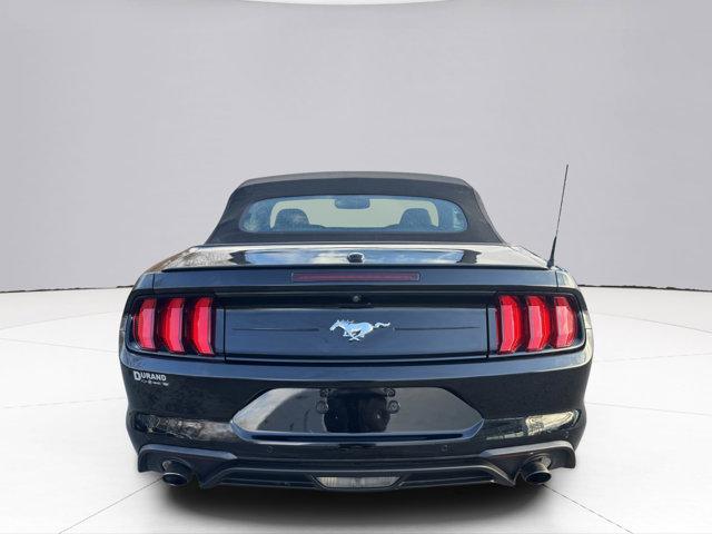 2020 Ford Mustang Vehicle Photo in LEOMINSTER, MA 01453-2952