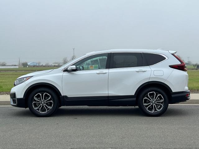 2022 Honda CR-V Vehicle Photo in PITTSBURG, CA 94565-7121