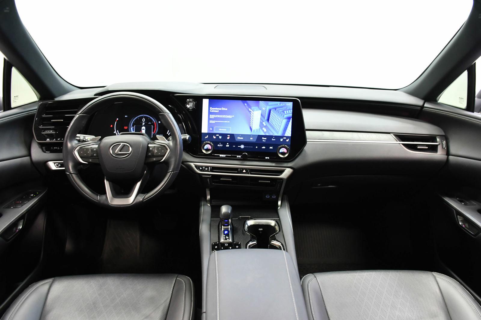 2024 Lexus RX 350 Vehicle Photo in DALLAS, TX 75235