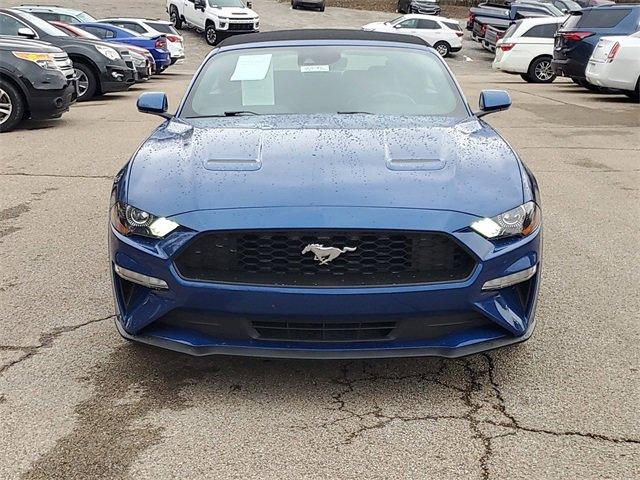 2022 Ford Mustang Vehicle Photo in MILFORD, OH 45150-1684