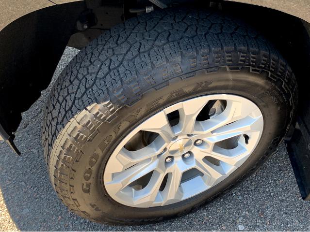 2022 Chevrolet Silverado 1500 Vehicle Photo in BEAUFORT, SC 29906-4218