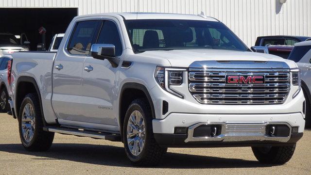 Used 2023 GMC Sierra 1500 Denali Denali with VIN 1GTUUGEL7PZ116495 for sale in Tupelo, MS