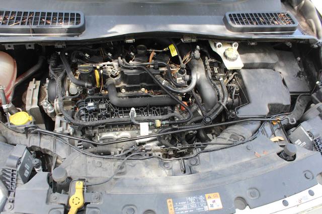 2019 Ford Escape Vehicle Photo in HOUSTON, TX 77090
