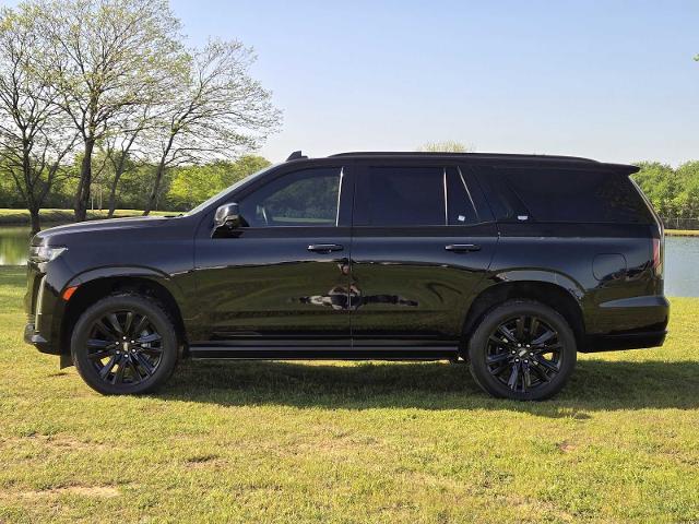2022 Cadillac Escalade Vehicle Photo in DENTON, TX 76210-9321