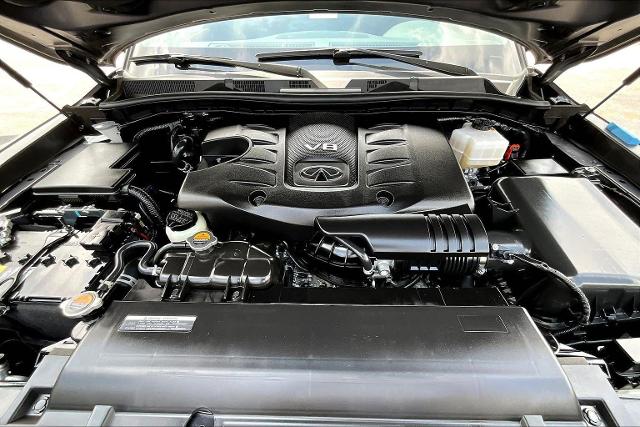 2024 INFINITI QX80 Vehicle Photo in San Antonio, TX 78230