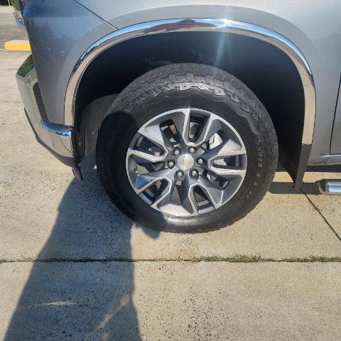 2019 Chevrolet Silverado 1500 Vehicle Photo in ROXBORO, NC 27573-6143