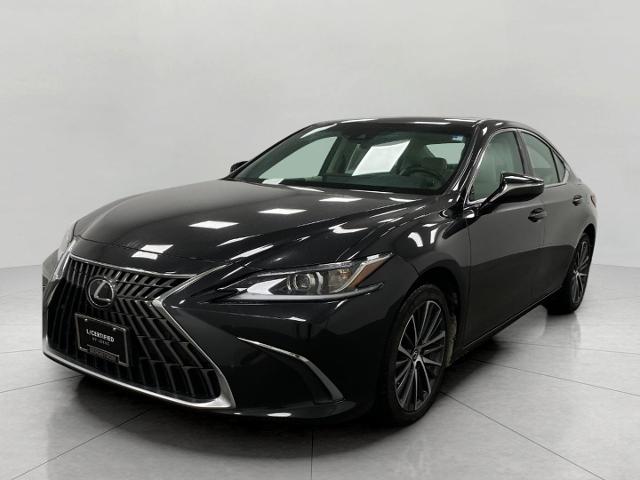 2022 Lexus ES 250 Vehicle Photo in Appleton, WI 54913