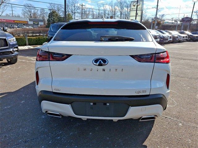 2022 INFINITI QX55 Vehicle Photo in Willow Grove, PA 19090