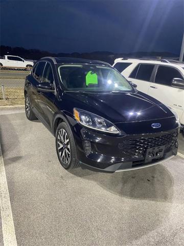 2020 Ford Escape Vehicle Photo in ALCOA, TN 37701-3235