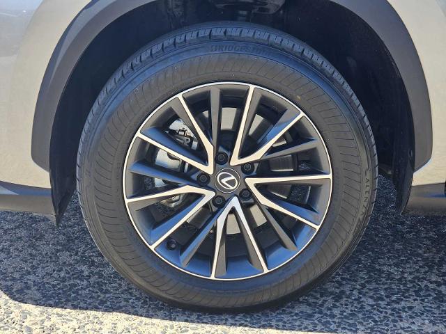 2024 Lexus NX 250 Vehicle Photo in FORT WORTH, TX 76132