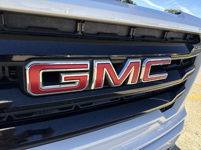 2020 GMC Sierra 1500 Vehicle Photo in BATON ROUGE, LA 70806-4466