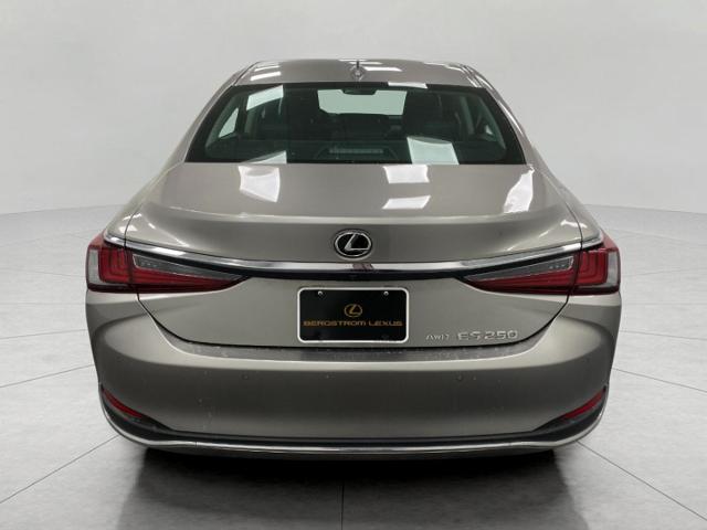 2021 Lexus ES 250 Vehicle Photo in Appleton, WI 54913