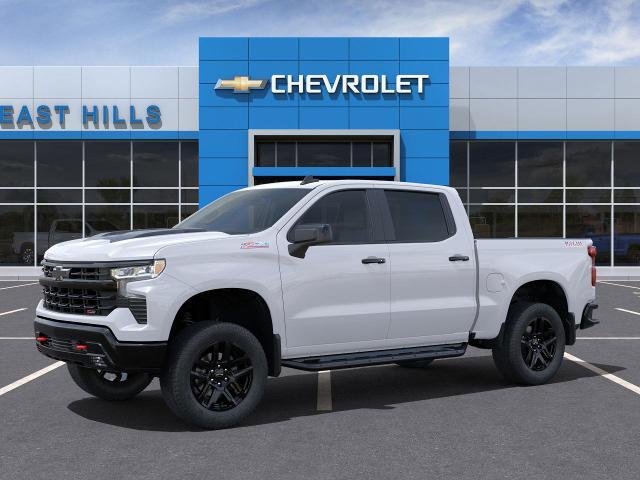 2025 Chevrolet Silverado 1500 Vehicle Photo in Roslyn, NY 11576