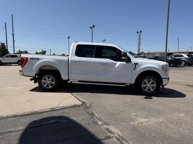 2023 Ford F-150 Vehicle Photo in Ogallala, NE 69153