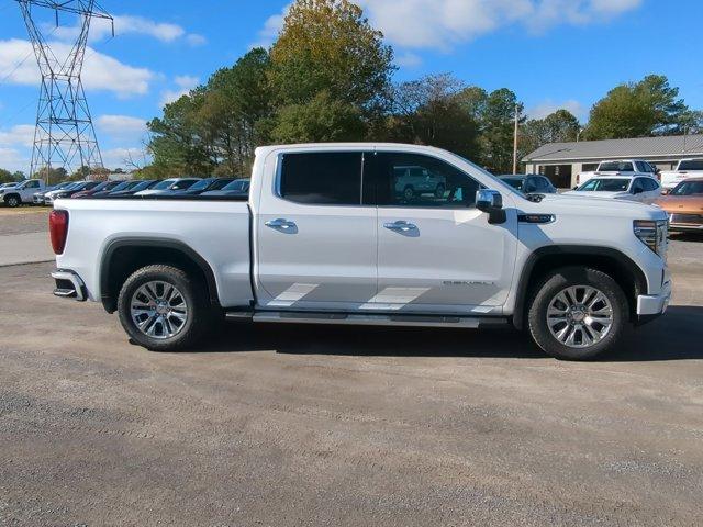 2025 GMC Sierra 1500 Vehicle Photo in ALBERTVILLE, AL 35950-0246