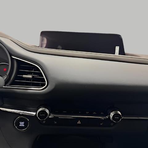 2025 Mazda CX-30 Vehicle Photo in Green Bay, WI 54304