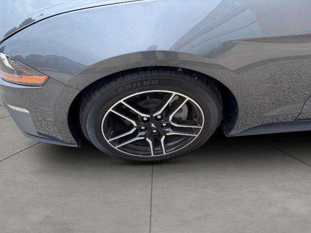 2022 Ford Mustang Vehicle Photo in Oshkosh, WI 54901