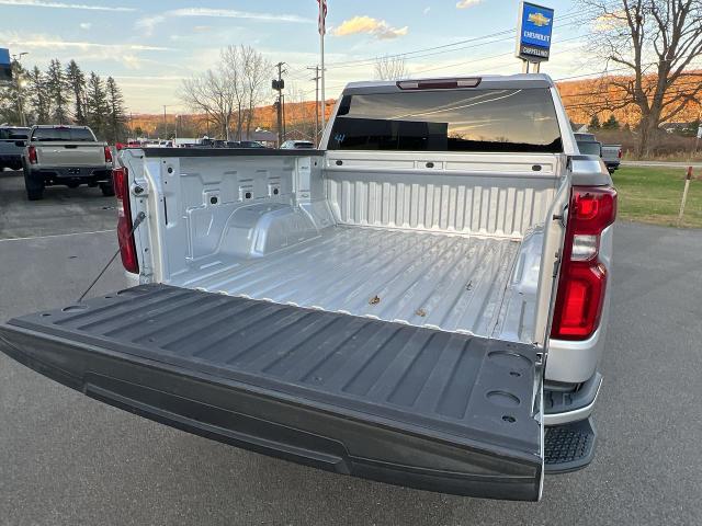 2021 Chevrolet Silverado 1500 Vehicle Photo in BOSTON, NY 14025-9684