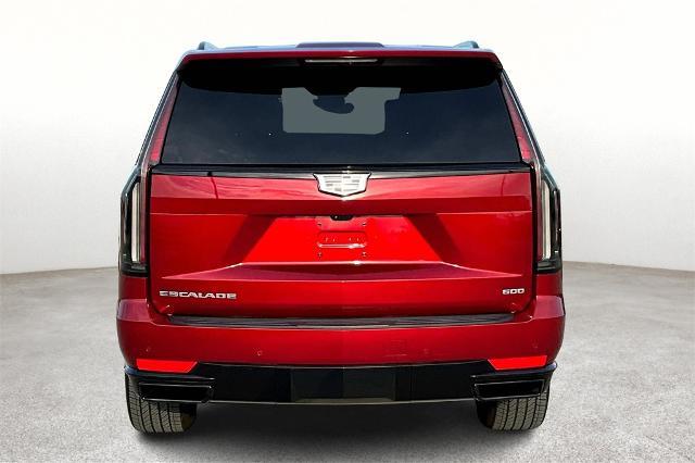 2024 Cadillac Escalade Vehicle Photo in Grapevine, TX 76051