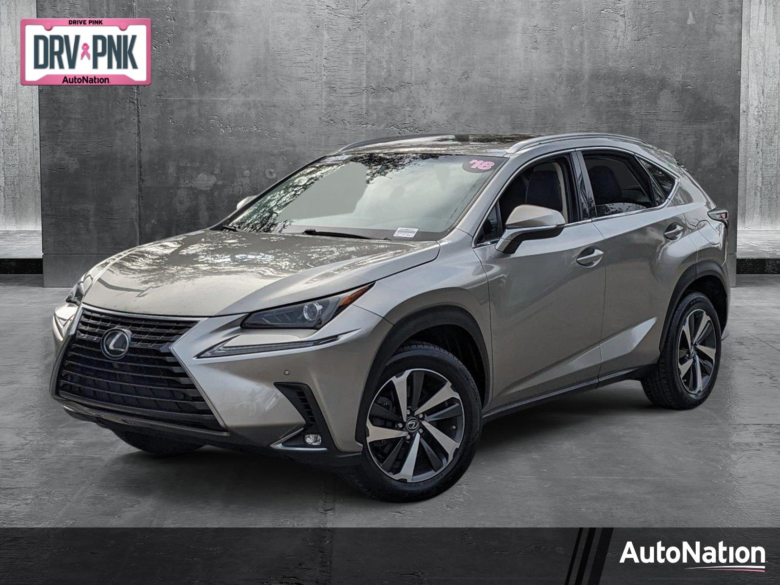 2018 Lexus NX 300 Vehicle Photo in Tampa, FL 33614