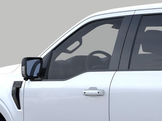 2025 Ford F-150 Vehicle Photo in Neenah, WI 54956