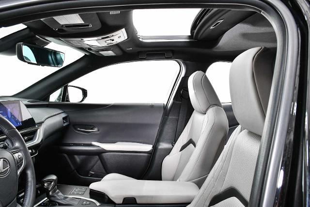 2024 Lexus UX 250h Vehicle Photo in DALLAS, TX 75235