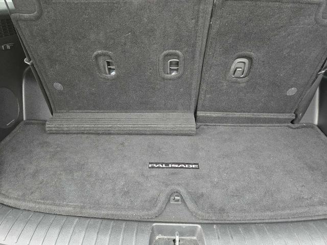 2021 Hyundai PALISADE Vehicle Photo in DENTON, TX 76210-9321