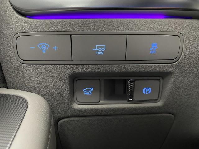 2025 Hyundai PALISADE Vehicle Photo in Appleton, WI 54913