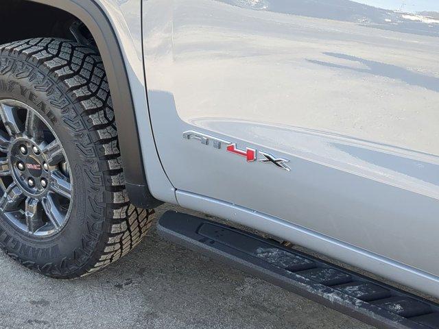 2025 GMC Sierra 1500 Vehicle Photo in ALBERTVILLE, AL 35950-0246