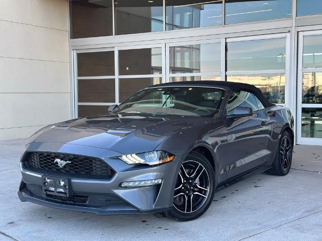 2022 Ford Mustang Vehicle Photo in San Antonio, TX 78230