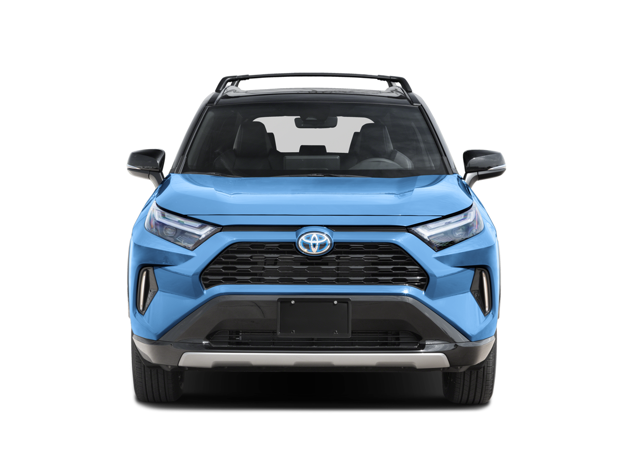 2024 Toyota RAV4 Vehicle Photo in San Antonio, TX 78230