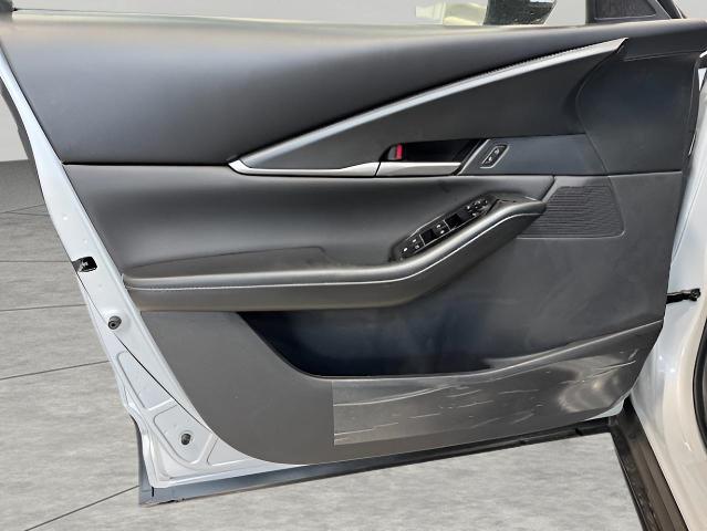 2025 Mazda CX-30 Vehicle Photo in Green Bay, WI 54304