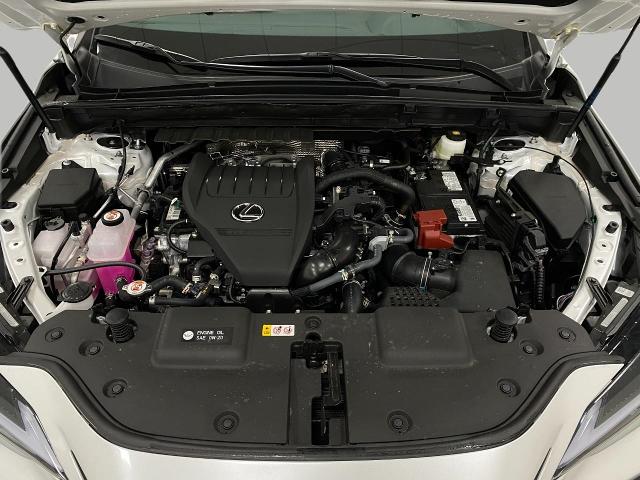 2025 Lexus NX 350 Vehicle Photo in Appleton, WI 54913