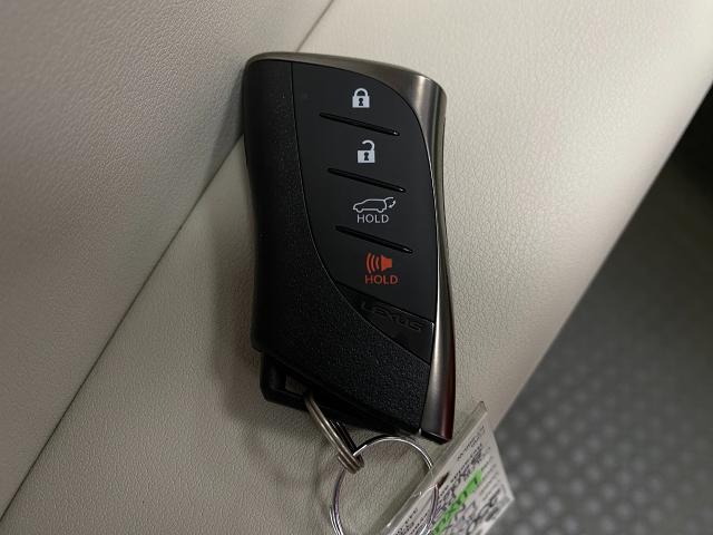 2025 Lexus NX 350h Vehicle Photo in Appleton, WI 54913