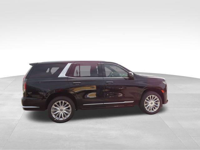 2024 Cadillac Escalade Vehicle Photo in DELRAY BEACH, FL 33483-3294