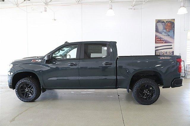 2025 Chevrolet Silverado 1500 Vehicle Photo in MEDINA, OH 44256-9001