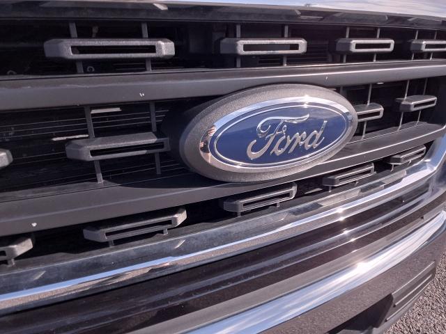 2023 Ford F-150 Vehicle Photo in NEDERLAND, TX 77627-8017