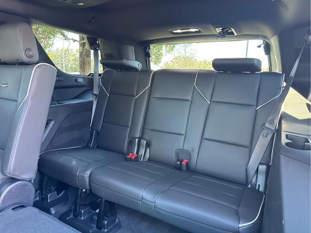 2023 Cadillac Escalade Vehicle Photo in DALLAS, TX 75209-3016