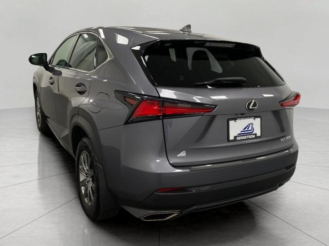 2019 Lexus NX 300 Vehicle Photo in Appleton, WI 54913