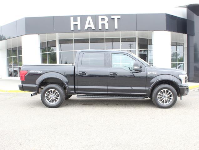 Used 2019 Ford F-150 Lariat with VIN 1FTEW1E40KFB89996 for sale in West Branch, MI