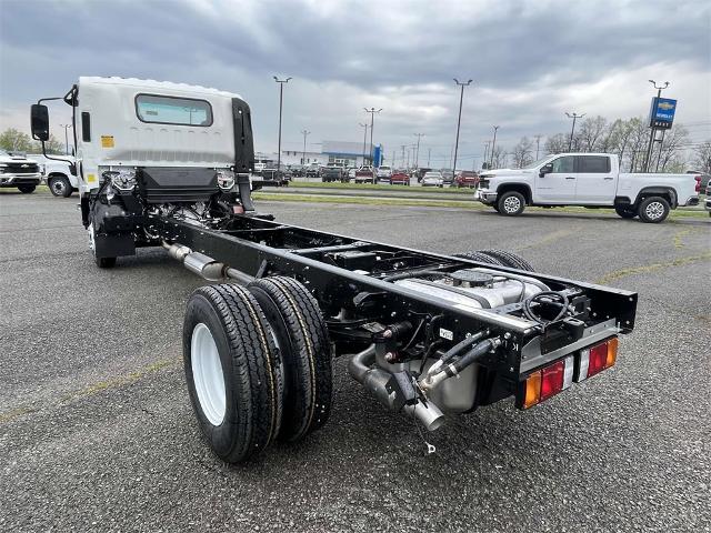 2024 Chevrolet Low Cab Forward 3500 Vehicle Photo in ALCOA, TN 37701-3235