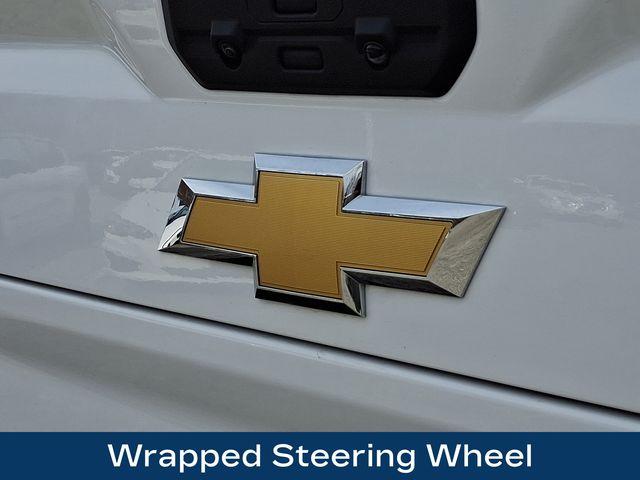 2025 Chevrolet Silverado 2500 HD Vehicle Photo in PAWLING, NY 12564-3219