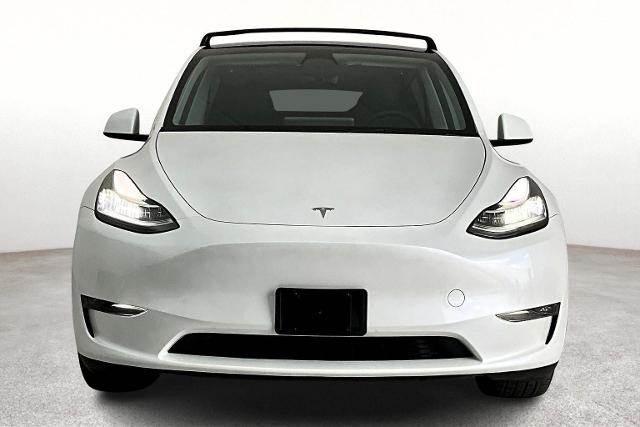 2023 Tesla Model Y Vehicle Photo in San Antonio, TX 78230