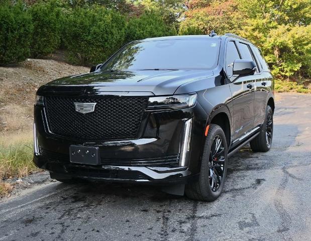 2023 Cadillac Escalade Vehicle Photo in NORWOOD, MA 02062-5222