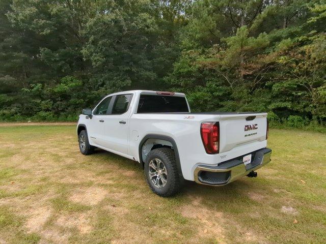 2024 GMC Sierra 1500 Vehicle Photo in ALBERTVILLE, AL 35950-0246